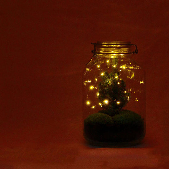 DIY Flaschengarten mit Mini-Christbaum