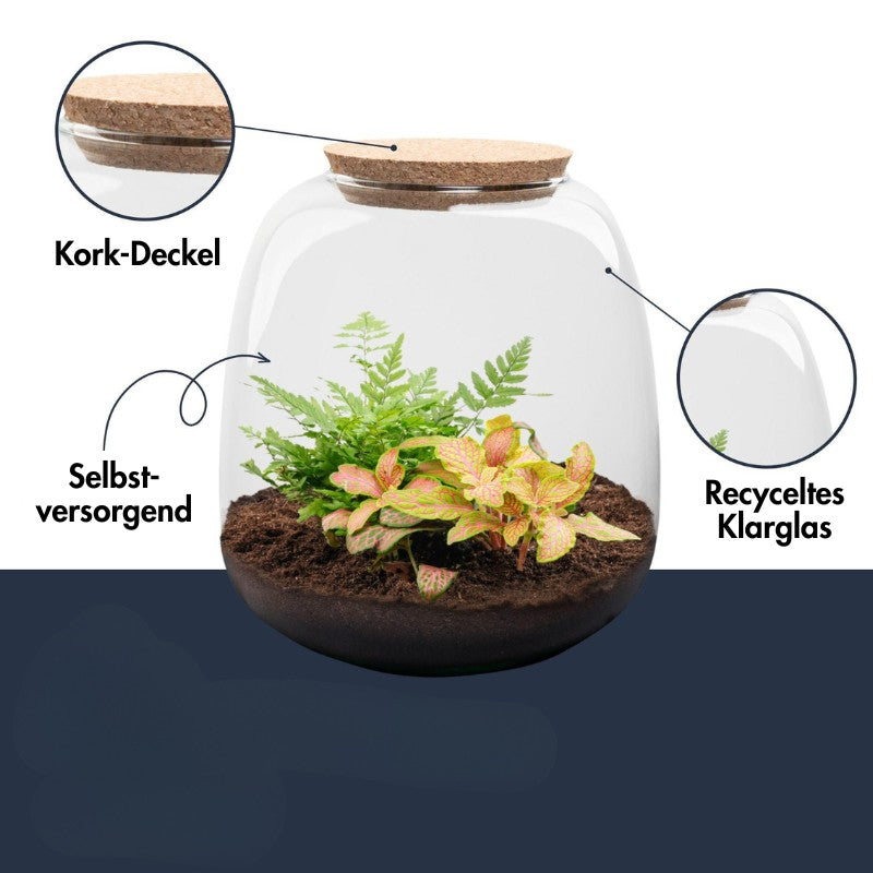 Flaschenbiotiop DIY Set