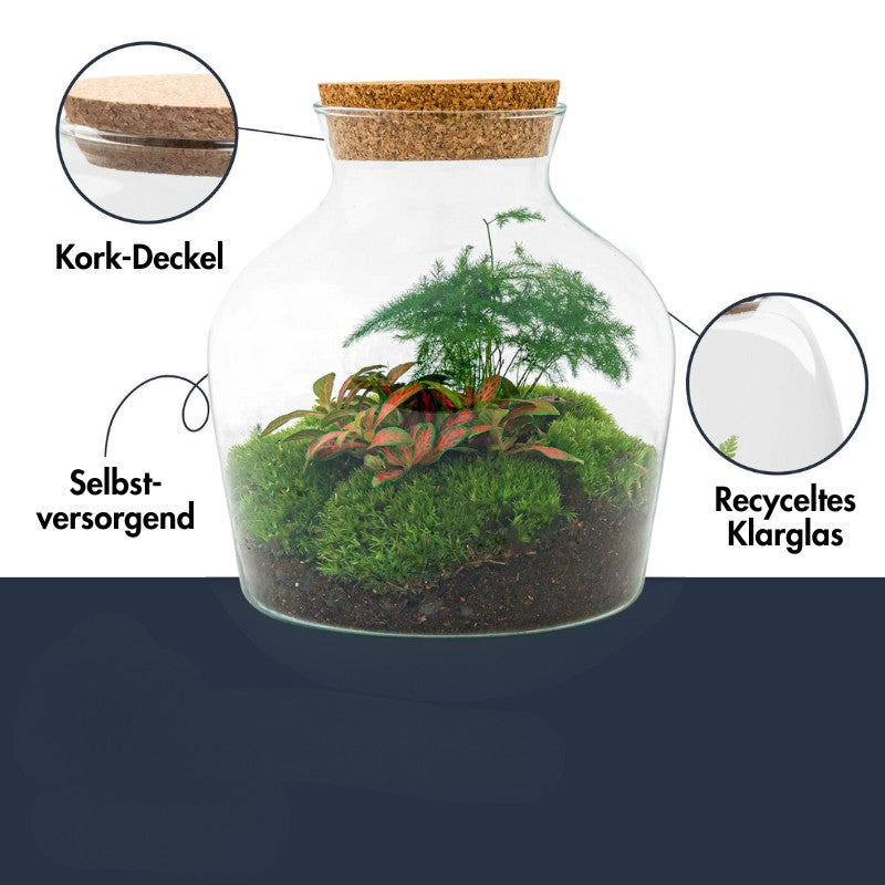 Flaschengarten DIY Set mit Fittona & Asparagus